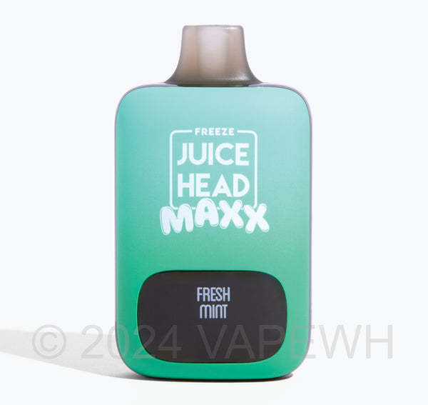 Juice Head Maxx Fresh Mint