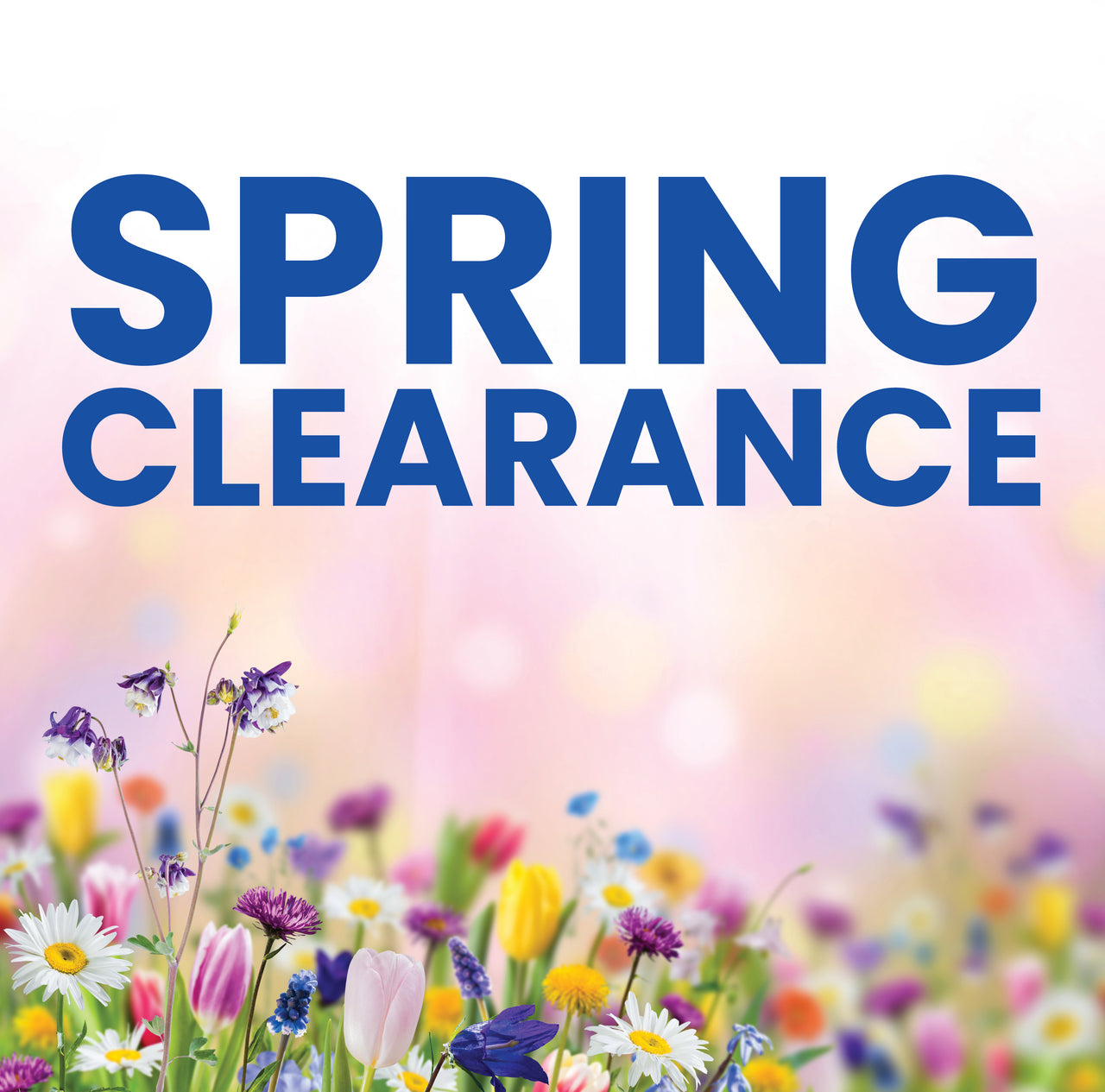 Spring Clearance-35+ options-Mintopia-MTERK-VIHO-Realio