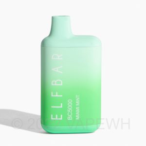 Elf Bar BC5000 Disposable Vape (5000 Puff) - Miami Mint